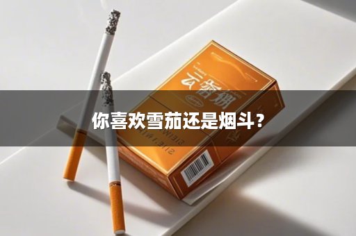 你喜欢雪茄还是烟斗？